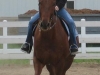 bullseye10