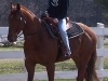 bullseye5