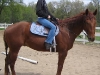 bullseye9