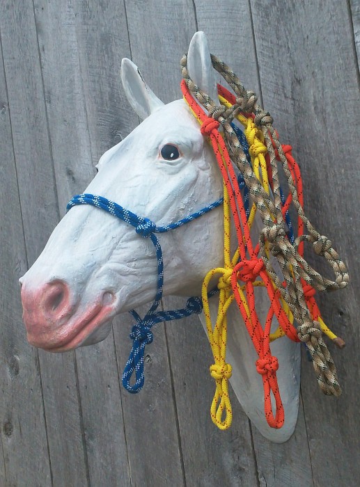 Pintura springs aphc aqha and grade riding horses for sale rope