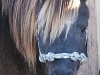3/8 Miniature Rope Halter